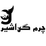 کد تخفیف 100 هزار تومانی کفش مردانه چرم گواشیر